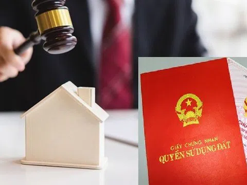 Điều kiện tham gia đấu giá quyền sử dụng đất