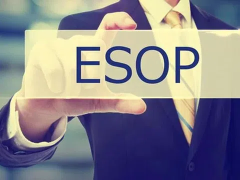 Doanh nghiệp cần lưu ý điều gì khi phát hành cổ phiếu ESOP