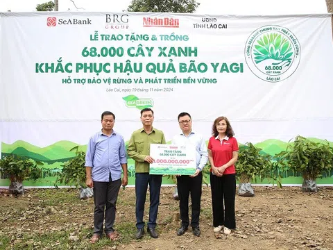 SeABank và Tập đoàn BRG chung tay trồng 68.000 cây phủ xanh gần 20ha rừng tại Lào Cai