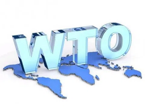 Cơ chế giải quyết tranh chấp thương mại quốc tế của WTO