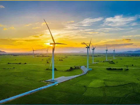 Hoàn thiện khung pháp lý cho phát triển năng lượng tái tạo tại Việt Nam