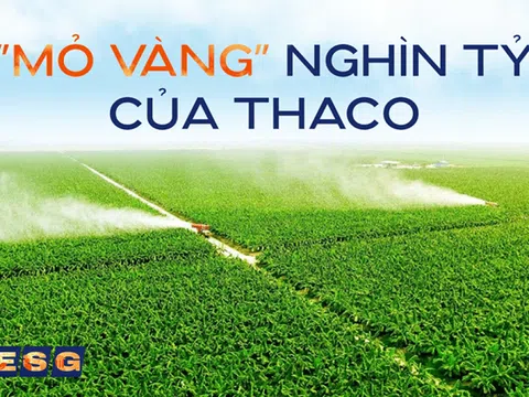 THACO vừa thâu tóm doanh thu khủng: 2.200 tỷ từ "mỏ vàng" 840 km2 xuyên biên giới