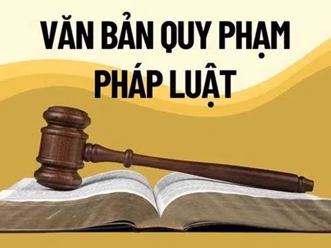 Ứng dụng AI trong xây dựng, hoàn thiện Cổng Pháp luật quốc gia