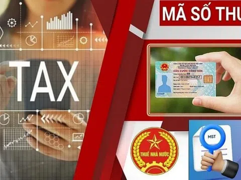 Sử dụng mã định danh cá nhân thay mã số thuế, người dân cần lưu ý gì?