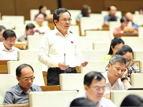 Quốc hội thảo luận về cơ chế xử lý khó khăn, vướng mắc do quy định của pháp luật