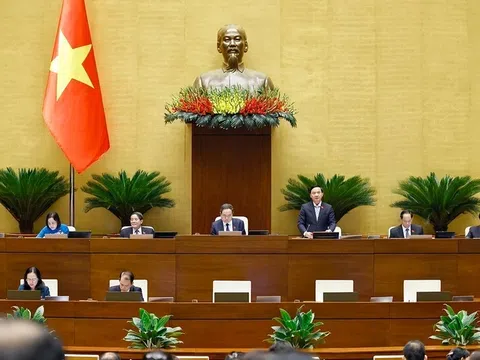 Chính phủ được ban hành nghị quyết điều chỉnh luật để xử lý vướng mắc