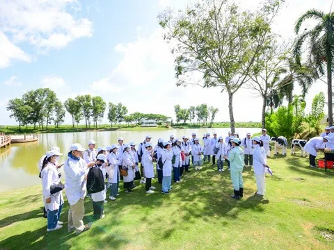 “Mở khoá tự nhiên”: Vinamilk biến rào cản thành vòng tuần hoàn xanh tại trang trại sinh thái