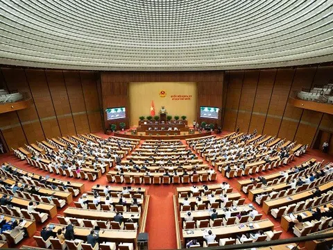 Tuần làm việc thứ ba, Kỳ họp thứ 10, Quốc hội khoá XV: ĐBQH thảo luận ở Tổ về các dự án luật quan trọng