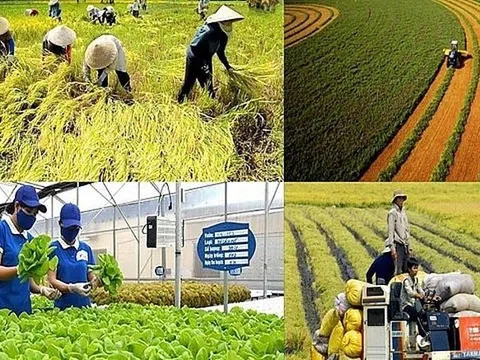 Chính sách mới có hiệu lực từ tháng 1/2026