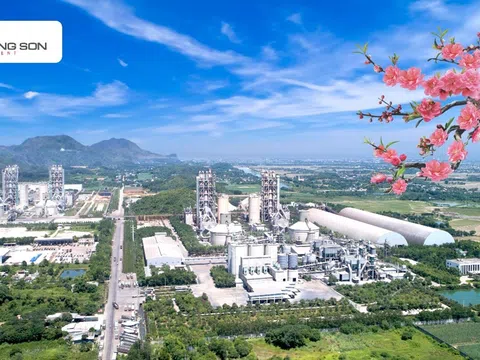 Xi măng Long Sơn – Chúc mừng năm mới chào xuân Bính Ngọ 2026