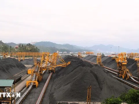 Nghị quyết 79-NQ/TW: Kinh tế Nhà nước dẫn dắt, kích hoạt kinh tế tư nhân