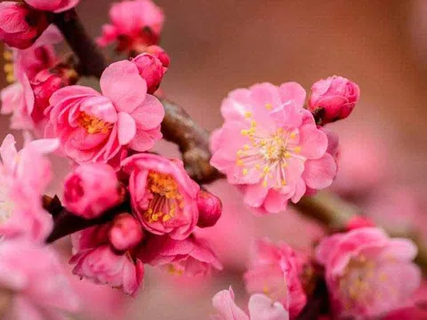 Chào 2026 - Năm khai mở đột phá thể chế, để Việt Nam “cất cánh” !