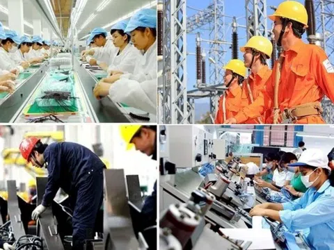 Nghị quyết 79: Không chỉ là câu chuyện của doanh nghiệp nhà nước