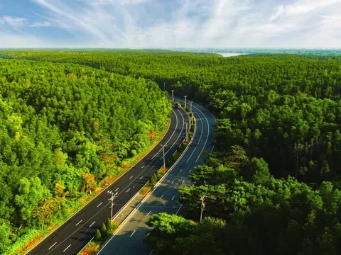 VnExpress Marathon Green Paradise Cần Giờ - Hành trình vạn bước chạy “đánh thức” biểu tượng du lịch mới của TP.HCM