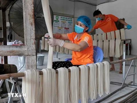 Phát triển mạnh doanh nghiệp tư nhân, nâng cao hiệu quả doanh nghiệp nhà nước