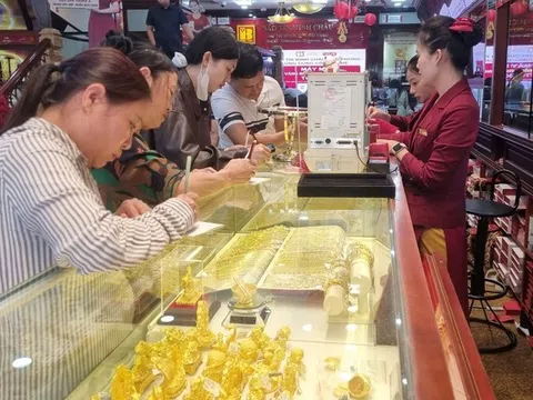 Trước trốn thuế 'khủng', Bảo Tín Minh Châu từng sai phạm gì?