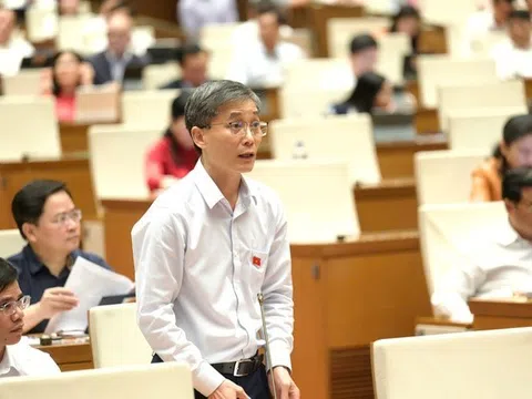 Chủ động phòng ngừa, xử lý hiệu quả các tranh chấp đầu tư quốc tế