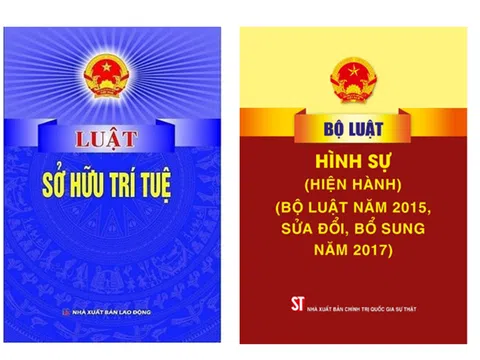 Pháp luật Việt Nam về xử lý hành vi xâm phạm quyền sở hữu trí tuệ trong thương mại điện tử: Thực trạng và kiến nghị