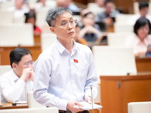 Thí điểm luật sư công tại 8 bộ, 10 địa phương: Cần một cơ quan điều phối chung để hiệu quả