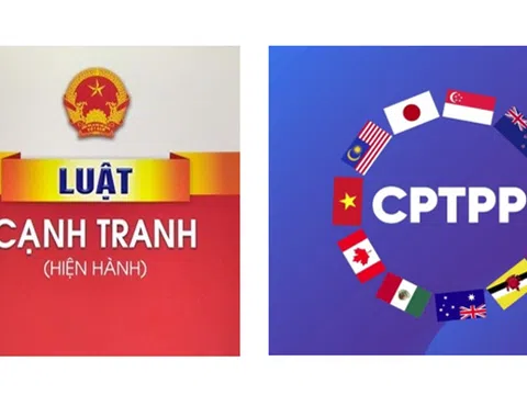 Tính tương thích của pháp luật cạnh tranh Việt Nam trong bối cảnh thực thi các Hiệp định Thương mại tự do thế hệ mới CPTPP và EVFTA: Phân tích từ góc độ thể chế và thực thi