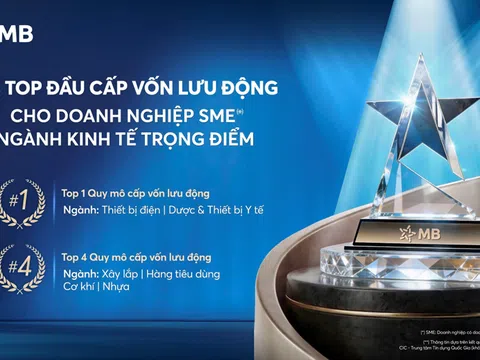 MB – Ngân hàng  top đầu Cấp vốn lưu động cho doanh nghiệp SME thuộc ngành kinh tế trọng điểm
