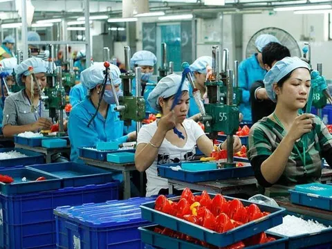 Sửa Luật Hỗ trợ DNNVV: Dừng hỗ trợ dàn trải, thí điểm cho vay không tài sản thế chấp