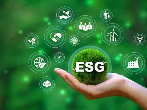 Quy định về tuân thủ chuẩn mực ESG cho doanh nghiệp xuất khẩu Việt Nam hướng tới thị trường Châu Âu (EU)