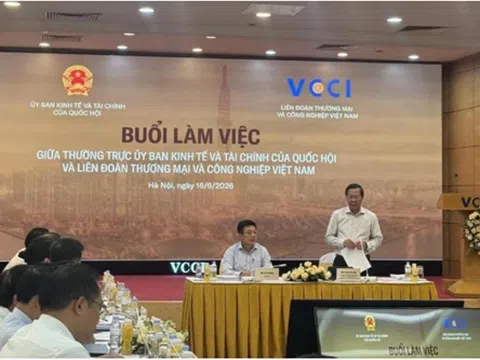 VCCI làm việc với Thường trực Ủy ban Kinh tế và Tài chính của Quốc hội: Tháo gỡ ‘áp lực kép’ cho doanh nghiệp tư nhân