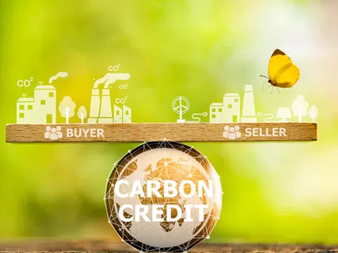 Pháp luật hình sự về gian lận tín chỉ carbon: Kinh nghiệm một số quốc gia và gợi mở cho Việt Nam