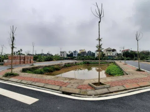 Kết quả đấu giá QSD đất bị hủy: Căn cứ pháp lý, hệ lụy và những khuyến cáo