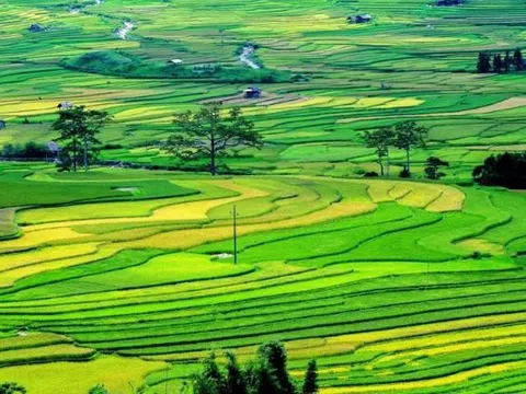 Đề nghị rà soát, đánh giá kỹ tính tương thích của Luật Đất đai sửa đổi với điều ước quốc tế có liên quan mà Việt Nam là thành viên