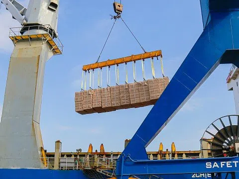 Cảng Chu Lai nâng cao năng lực phục vụ xuất nhập khẩu hàng rời