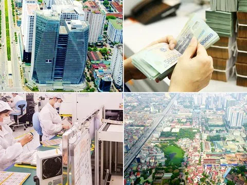 Xử lý dứt điểm các tồn tại, vướng mắc về hình thức pháp lý của công ty nhà nước