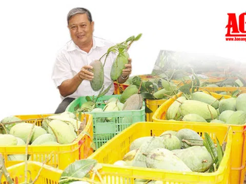 Làng tỷ phú trên đất cù lao