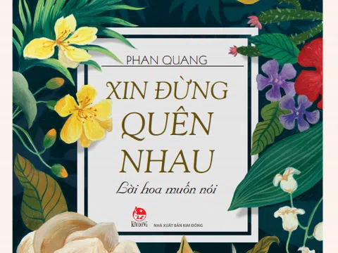 Một đóa mai vàng