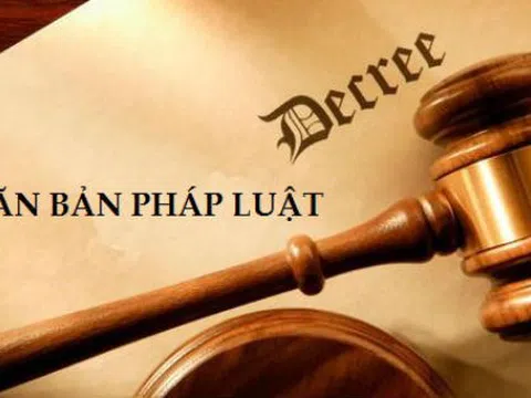 Xử lý tiền bán đấu giá khi bản án, quyết định của Tòa án bị hủy thế nào?