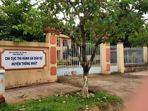 Đồng Nai: Nguyên chi cục trưởng thi hành án bị khởi tố