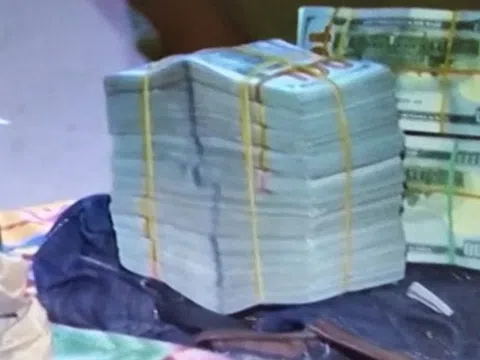Công an tạm giữ gần nửa triệu đôla không rõ nguồn gốc