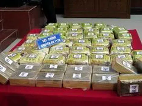 Biểu dương các đơn vị bắt giữ ma túy tại tỉnh Nam Định