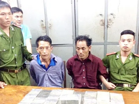 Ly kỳ những lần phục bắt “sói hoang” miền Tây xứ Nghệ