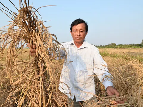 Bắt tạm giam cán bộ ăn chặn tiền hạn, mặn