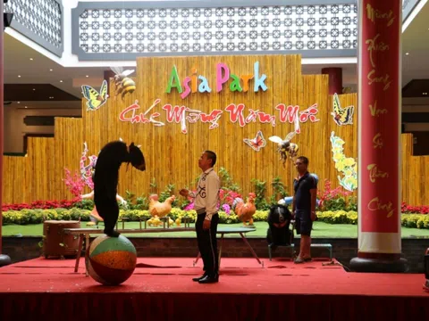 Bật mí điểm đến đầu xuân vui nhất Đà Nẵng