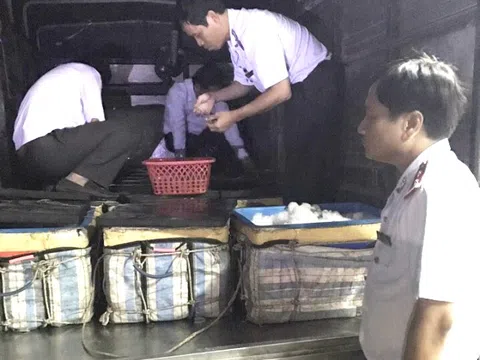 Bạc Liêu:  Bắt xe tải chở hơn 400 ký tôm có chứa tạp chất