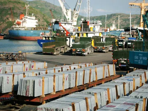 Vì sao Ủy ban Kiểm tra TW yêu cầu thanh tra toàn diện Cảng Quy Nhơn?