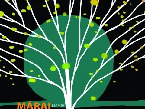 'Bốn mùa, trời và đất': Quan sát và suy tưởng