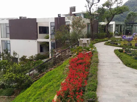 Từ chuyện "biệt phủ" Trịnh Xuân Thanh đến "cơn sốt" ô tô giảm giá