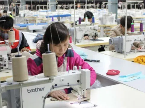 Dự thảo Luật Hỗ trợ DNNVV: Bất ngờ với điều khoản “lobby” (!?)