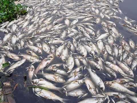 Những quy định gây khó cho công tác xử lý hình sự hành vi gây ô nhiễm môi trường