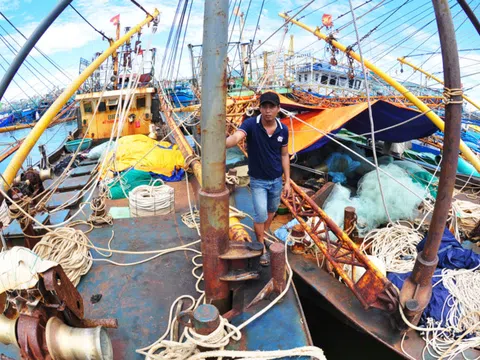 Kiến nghị khởi tố doanh nghiệp đóng tàu han gỉ tại Bình Định