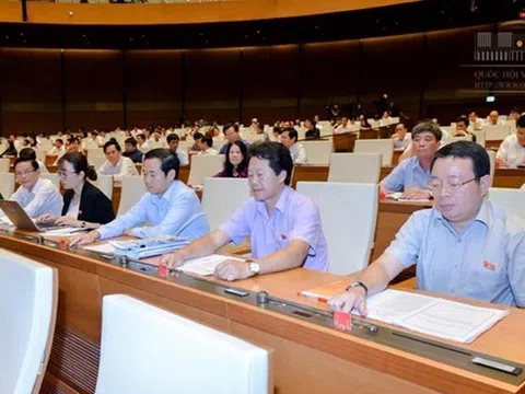 Nghị quyết về việc thi hành Bộ luật hình sự 2015 và các luật có liên quan